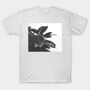 Monochrome botanical T-Shirt